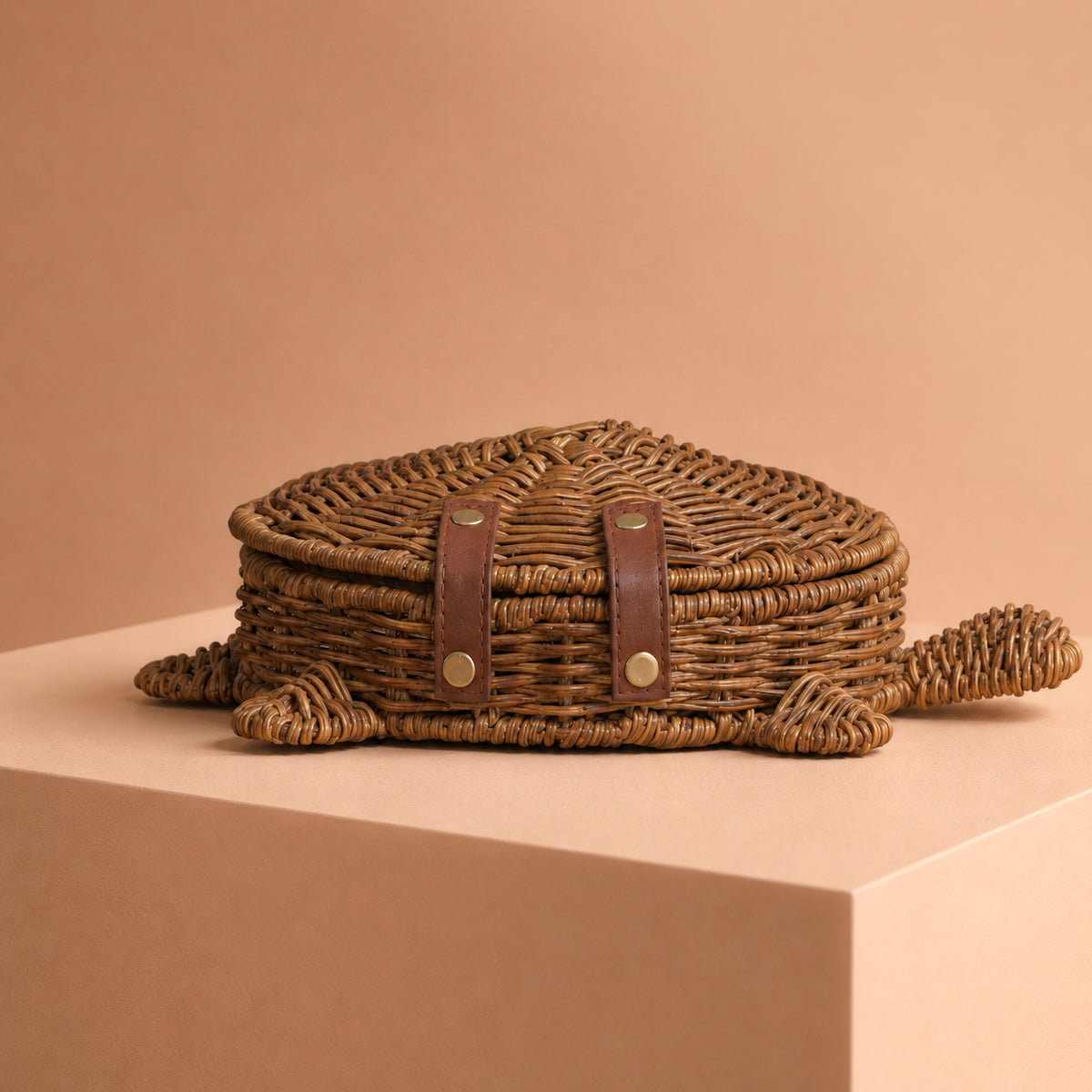 The Parana Turtle Cane Bag